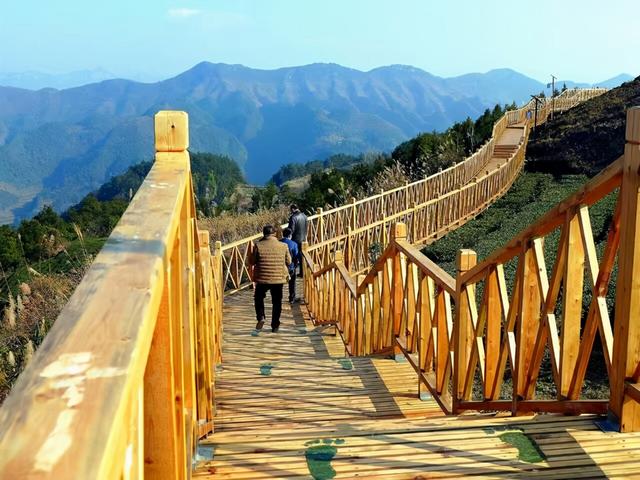 石林风景区图片，铜仁石林风景区（拥有全省最大的天然石林景观）