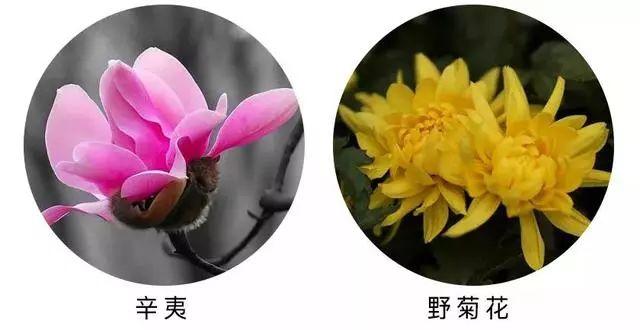 民间止鼾九大妙招，教你一招永不打呼噜小妙招