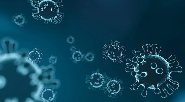 新型冠状病毒冠读什么，冠状病毒的冠