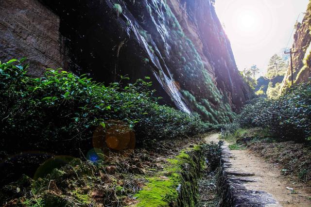 武夷岩茶三坑两涧位置，孕育了绝品岩茶的