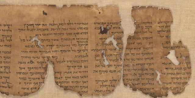 世界首例换头手术，全球第一例换头手术现在怎样了（世界首例换头“手术”宣布成功）