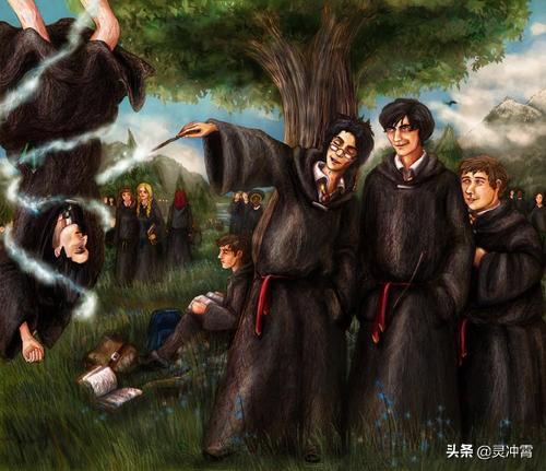 斯内普教授为什么讨厌哈利波特，《哈利波特》中的这一人