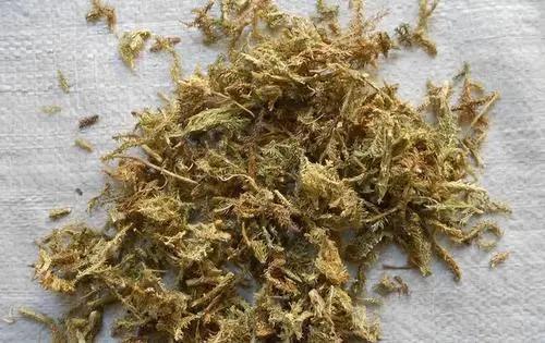 人工养殖蜈蚣功效，蜈蚣的药用价值具体有哪些