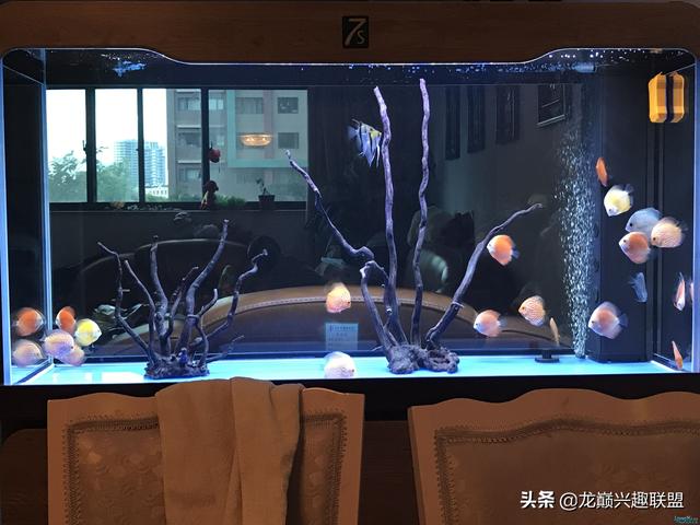 如何自制牛心汉堡，两种自制牛心汉堡的配方