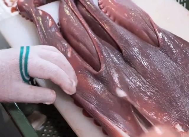 世界上最大的章鱼吃法，顶级厨师处理巨型大章鱼