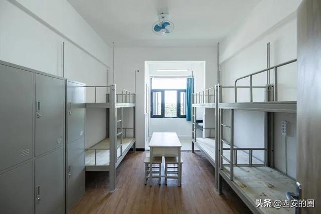 陕西青年职业学院，陕西青年职业学院官网介绍（我院举办2023年大型校园招聘会）