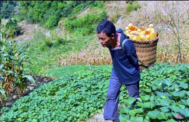 陈星银颁奖典礼，含勺喂母感天动地