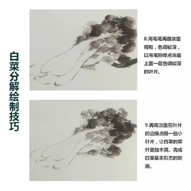 水墨画白菜的画法步骤，写意蔬果入门画法之白菜、辣椒的画法步骤