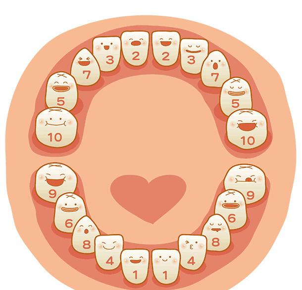 小孩牙齿钙化如何补救，孩子换牙后牙齿出现钙化不良