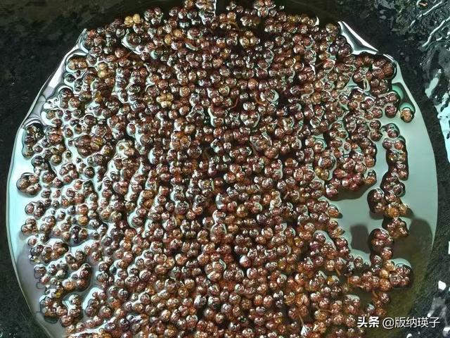 家常辣椒腌制方法两小时就可以吃，妈妈用土方法腌制