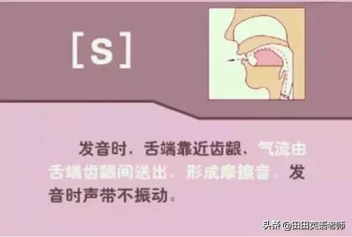 英语音标怎么学，初学英语者必看如何学习国际音标（资深老教师说：音标就该这样学）