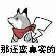 周冬雨小黄鸭合照，独家照片回顾百变周冬雨
