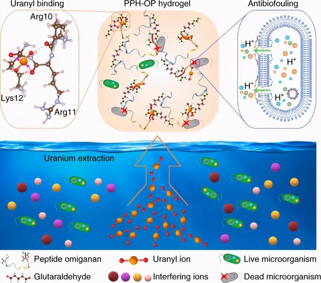 核反应方程式写法（1公斤铀235裂变后能释放多少能量）