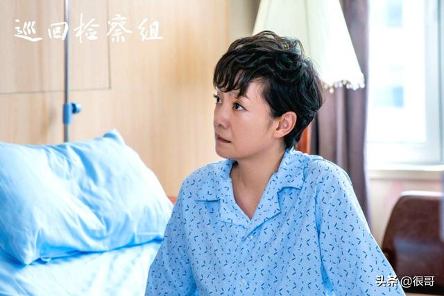 巡回检察组里面的李美娟是谁演的，《巡回检察组》用时间顺序来解读