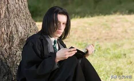 斯内普教授为什么讨厌哈利波特，《哈利波特》中的这一人