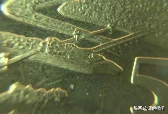 早期纪念币怎么收藏，新人学习收藏纪念币的五个建议