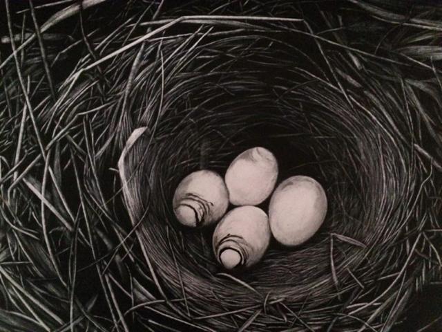 刮刮画作品大赏，刮画被他玩到极致
