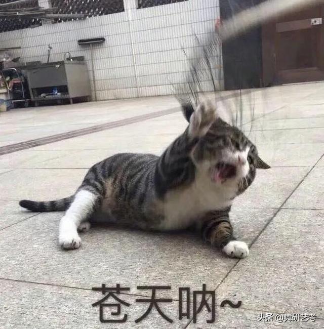 肥胖导致内双(变胖会把外双变内双吗)