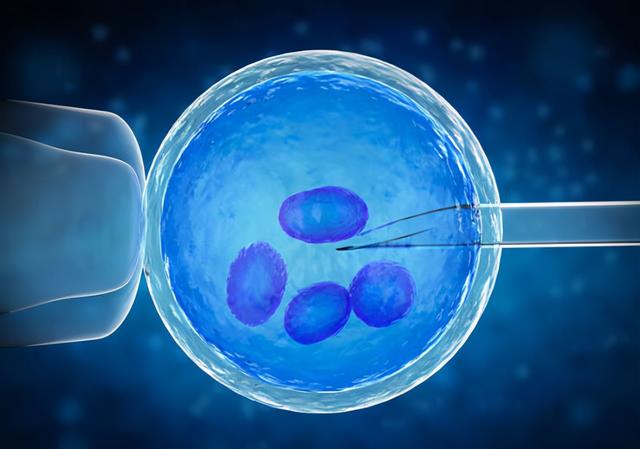 世界首例体细胞克隆猴，中国科学家创建世界首例生物节律紊乱体细胞克隆猴模型