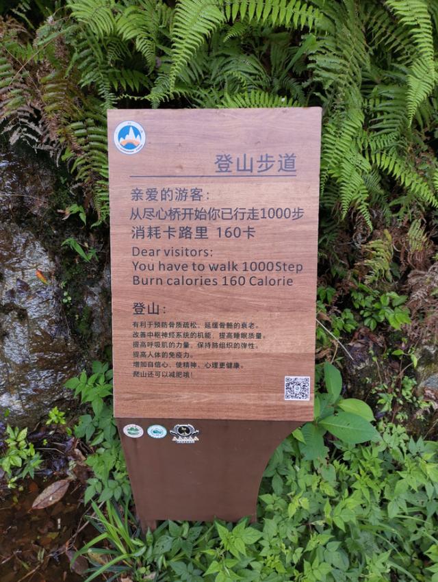 武功山旅游攻略，武功山旅游攻略一日游（江西武功山\u0026仙凤三宝亲子游记）