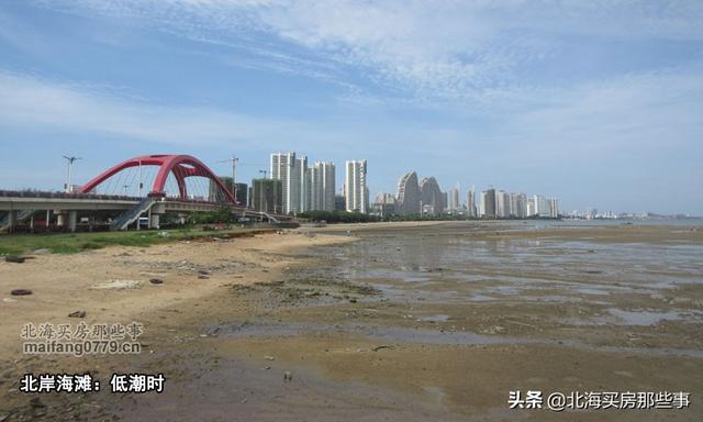 北海看潮汐表赶海，北海本地人外地人都需要的看海神器