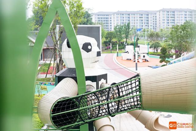 重庆熊猫最多的公园，你知道重庆动物园有多少只熊猫