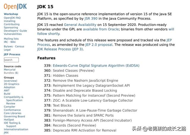 java11至jdk17的新特性，可能带来什么新特性