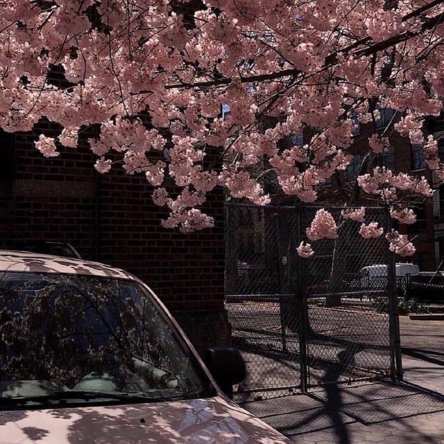 日月如移越少年，网易云热评四句