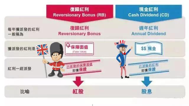 什么是美式分红，什么是分红保险