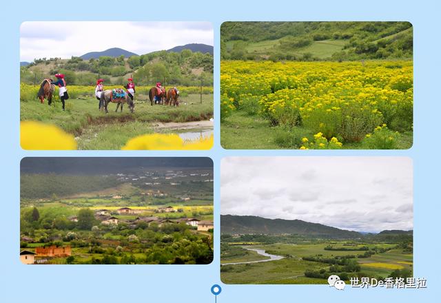 广东端午节旅游景点排行，香格里拉端午节景区景点活动合集出炉