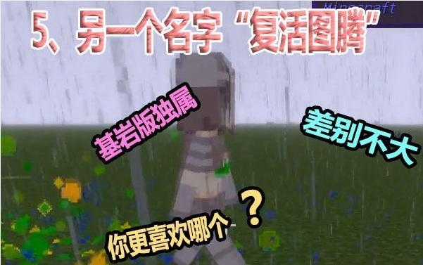 我的世界不死图腾，我的世界不死图腾分类