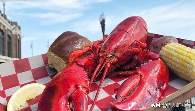 远古时代巨型龙虾，永葆青春真的不再是神话