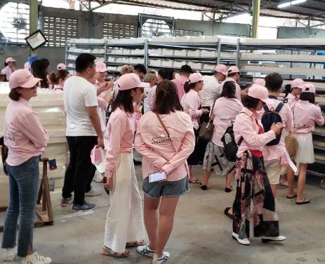 泰国赛莎梦乳胶内衣，乳胶内衣或将成为新潮流