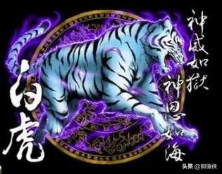 四大神兽对应的四大凶兽，四大神兽青龙白虎、朱雀玄武