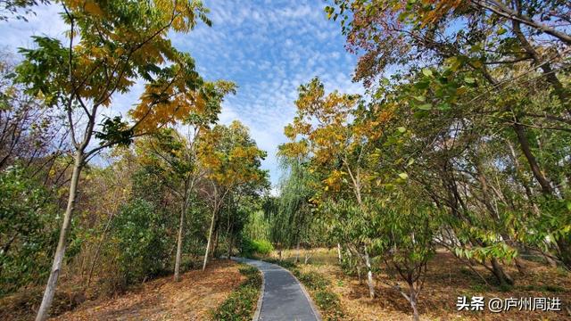 人生九言经典语录，我自己的人生，我想自己决定