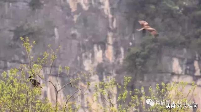 漓江在桂林的什么位置，桂林漓江风光简介