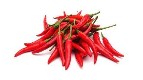 世界上最辣的辣椒，世界上最辣的五种辣椒（世界上最辣的10种辣椒）