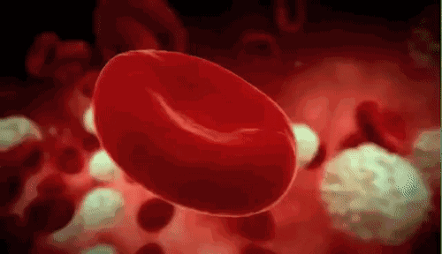 地球上唯一的蓝血生物，男孩交给警察1只4眼蓝血小怪物