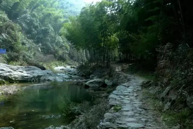 宁波有几个古道可以爬山的，宁波这11条登山健身步道你走过吗