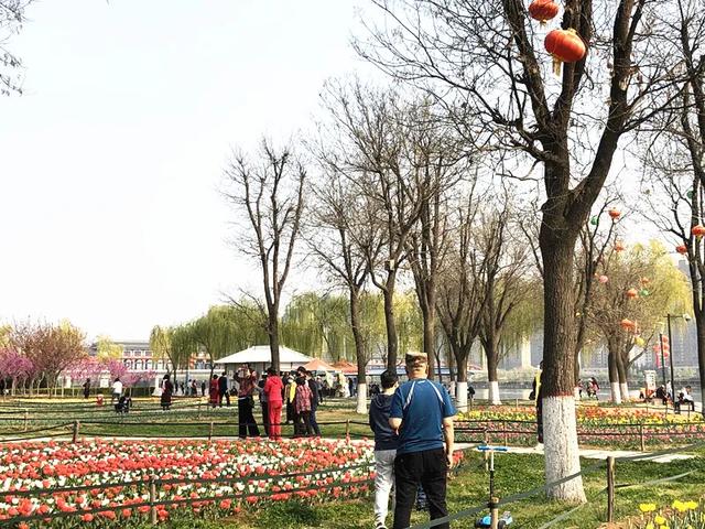 咸阳湖沙滩公园规划，咸阳湖景区将进行大改造