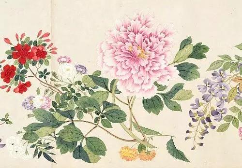 牡丹鉴赏实力画家笔下的牡丹风华，实力画家笔下的牡丹风华