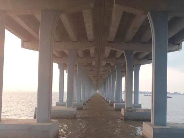 深圳宝安最美打卡点，深圳西湾红树林攻略