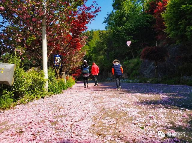 四明山好玩的景点大全，四明山游记