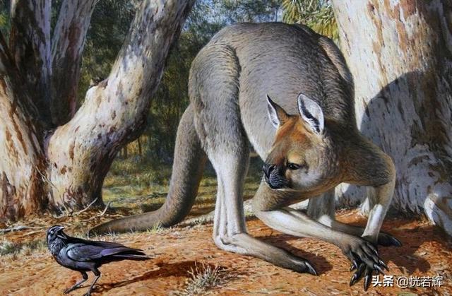 世界最大的淡水哺乳动物，这些动物有一个共同点