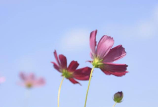 看淡人生经典句子，人生看开看淡的句子