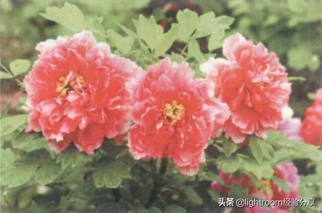 初学单反摄影技巧图解，请先从认识相机开始