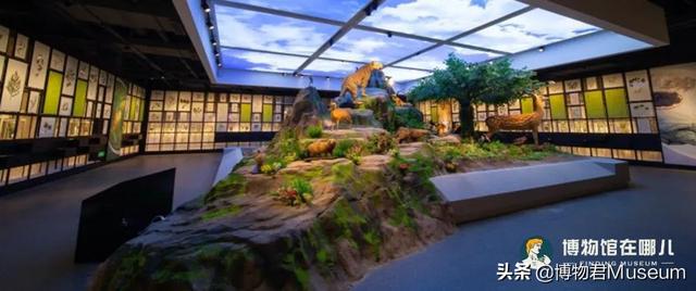 杭州博物馆有哪些，杭州有多少个博物馆