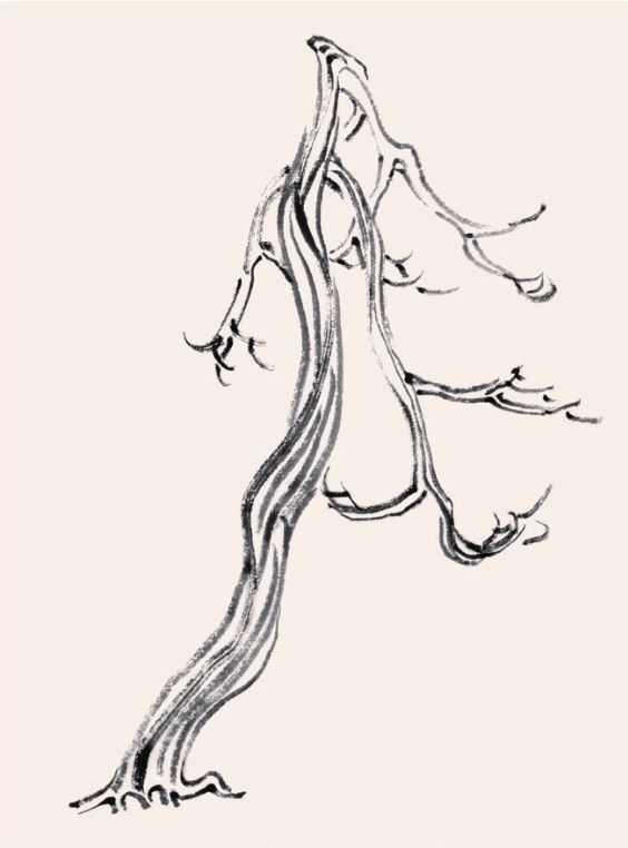 国画画谱之柳树画法二，山水画基础教程——柳树画法分步图解