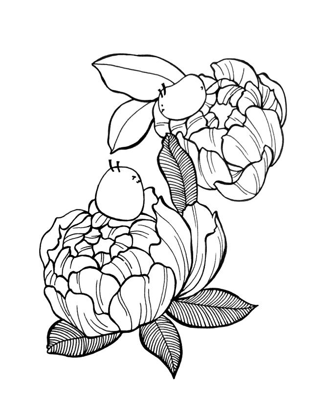 简单易学的画画，简笔画简单易学基础