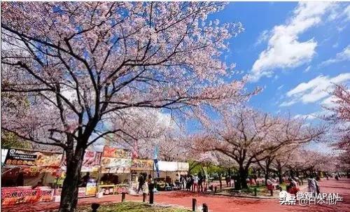 日本大阪详细介绍，放在中国相当于几线城市